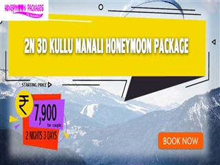 2 nights 3 days Manali package