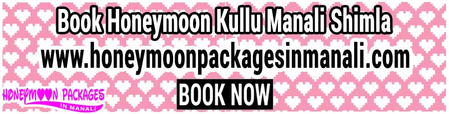Honeymoon Kullu Manali Shimla