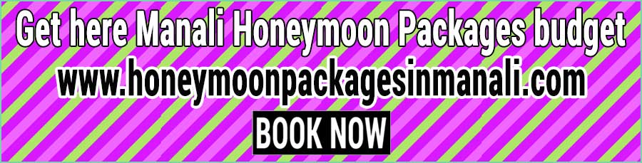 Book Manali Honeymoon Packages in budget