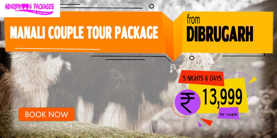 Manali couple tour package from Dibrugarh