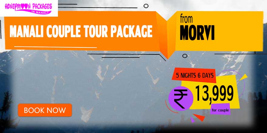 Manali couple tour package from Morvi