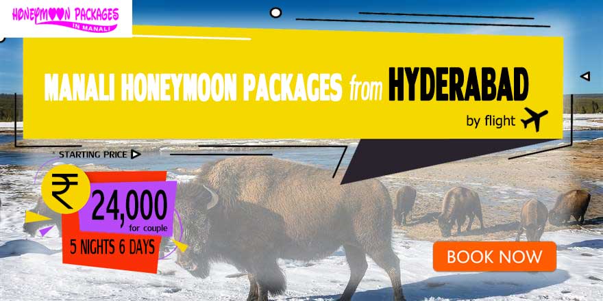 Honeymoon Packages in Manali from Hyderabad