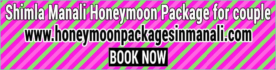 Book Shimla Manali Honeymoon Package for couple